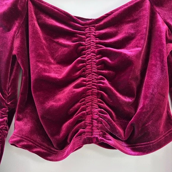 Mixed Threads Velvet Ruched Puffed Sleeve Cropped Top. Goth. Dark romantic. EUC - Picture 2 of 11